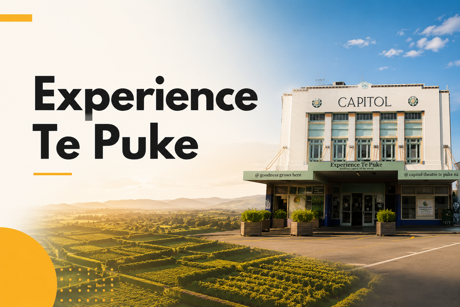 Experience Te Puke — Kiwifruit Capital of the World