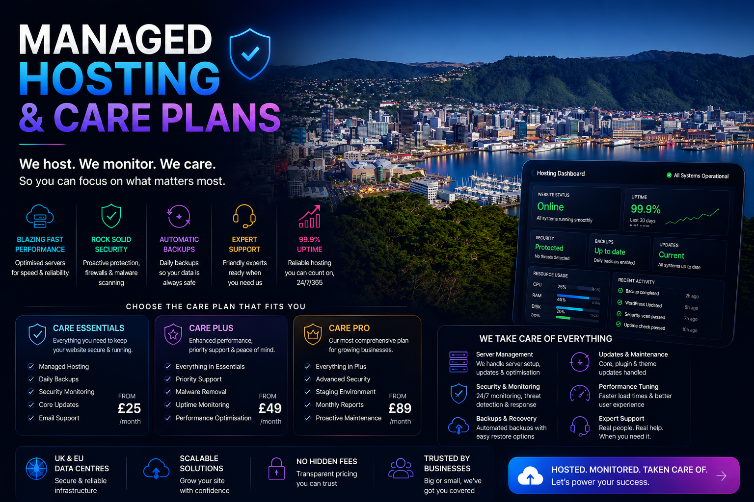 Managed hosting & care plans